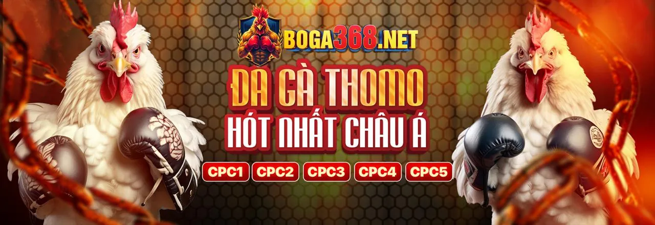 Dịch vụ hỗ trợ khách hàng ws168 đá gà 24/7 chuyên nghiệp