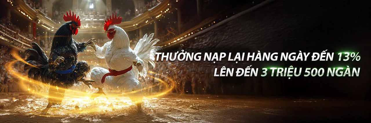 Hình ảnh hỗ trợ khách hàng ws168 đá gà